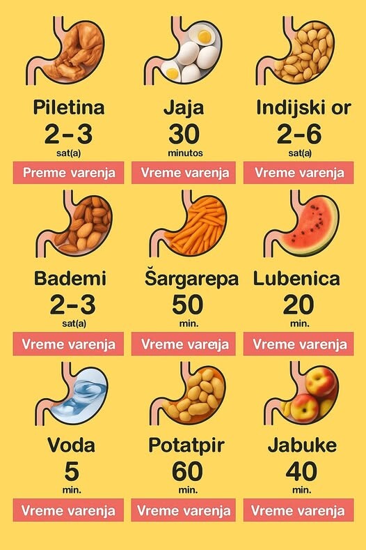 3428-vrijeme-probave-hrane-sta-se-desava-nakon-sto-jedete