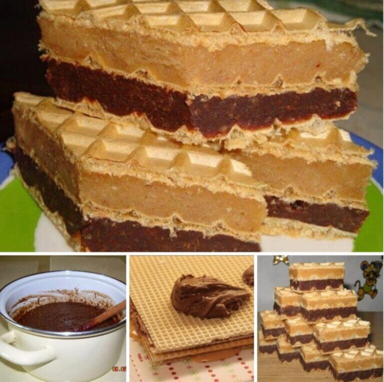 459587829_960732389401734_2880581584721059168_n-1068x1063-1-768x764