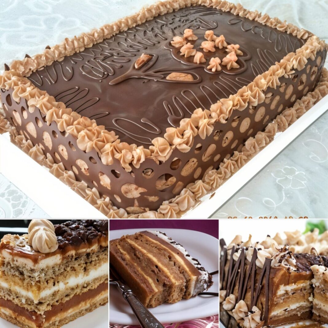 476804702_1534191984585313_4433407434198197142_n-1536x1536