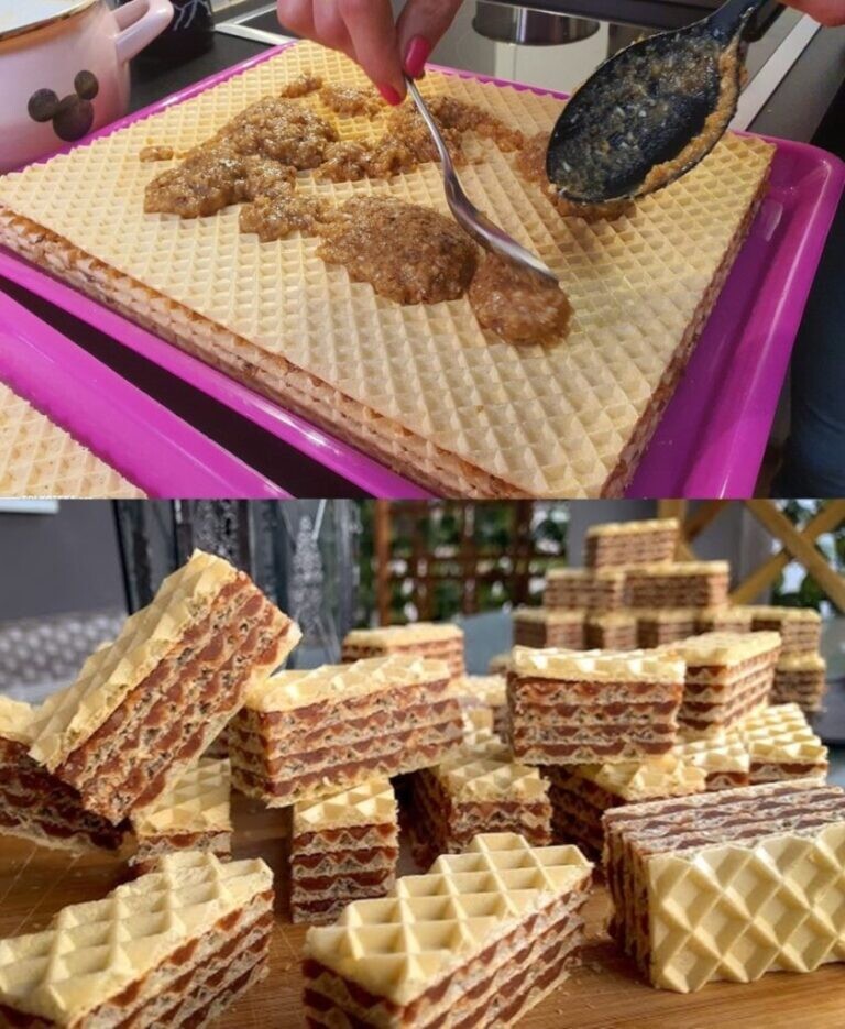 473774923_122196790700180280_3456050426533255964_n-841x1024-1-768x935