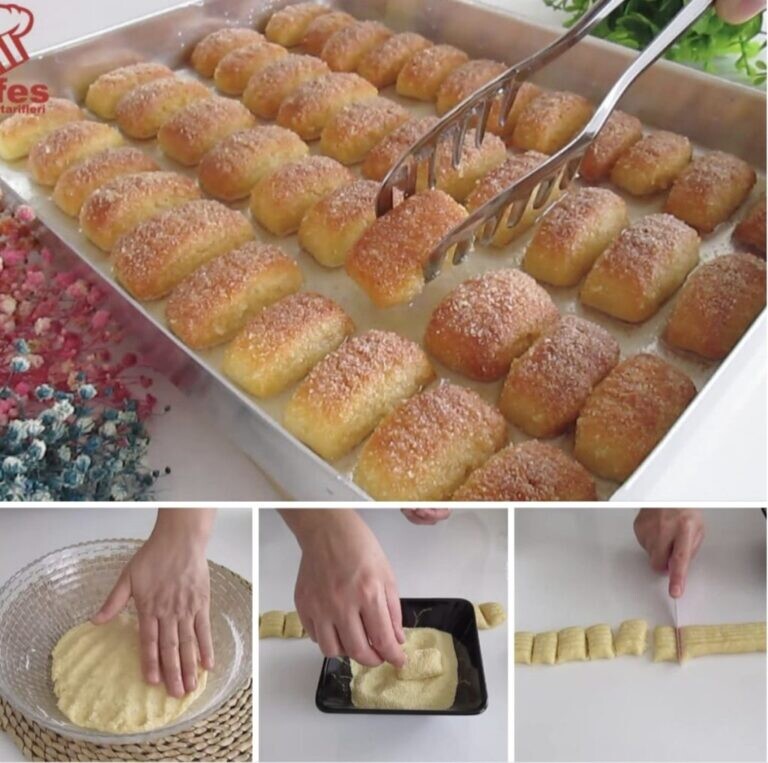 IMG_20241119_074237-1024x1017-1-768x763