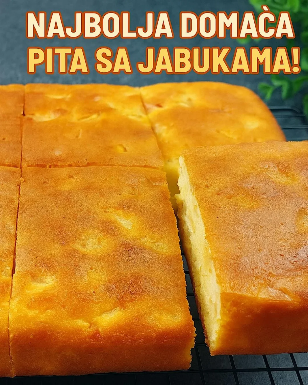 550914136_1197371445767893_705431481322696812_n