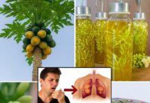 12 nevjerovatnih zdravstvenih prednosti cvijeta papaje u medu: Tegla blagostanja