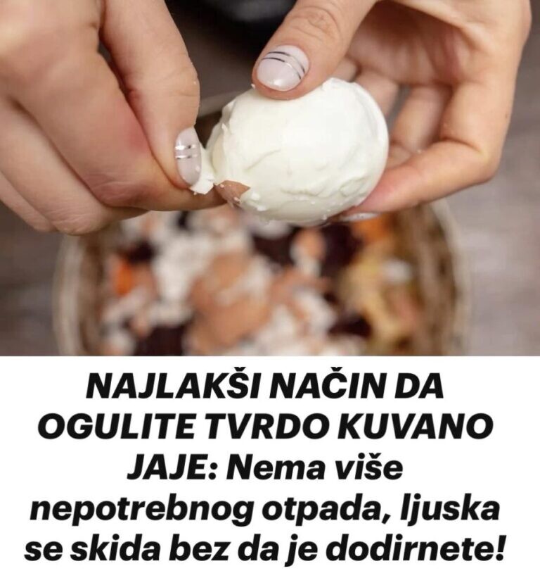 421941864_715285967399275_7559286783069319124_n-958x1024-1-768x821