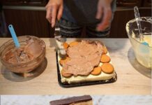 BINGO KOCKE – ukusan kolač sa jafom, keksom, piškotama i pudingom gotov za 20 minuta