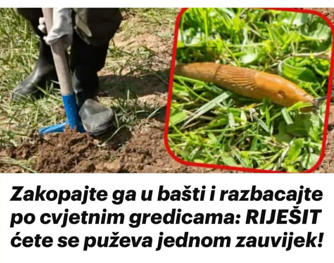 487507139_989459589981910_7816357332086419978_n