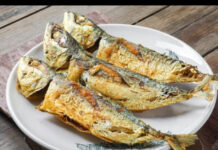 Dokazano jedna od najzdravijih riba na svijetu: Jeftinija je od lososa, trebate je češće jesti