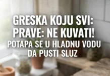 Čaj od bijelog sljeza: Prirodni lijek za suvi kašalj, upalu grla i bronhitis