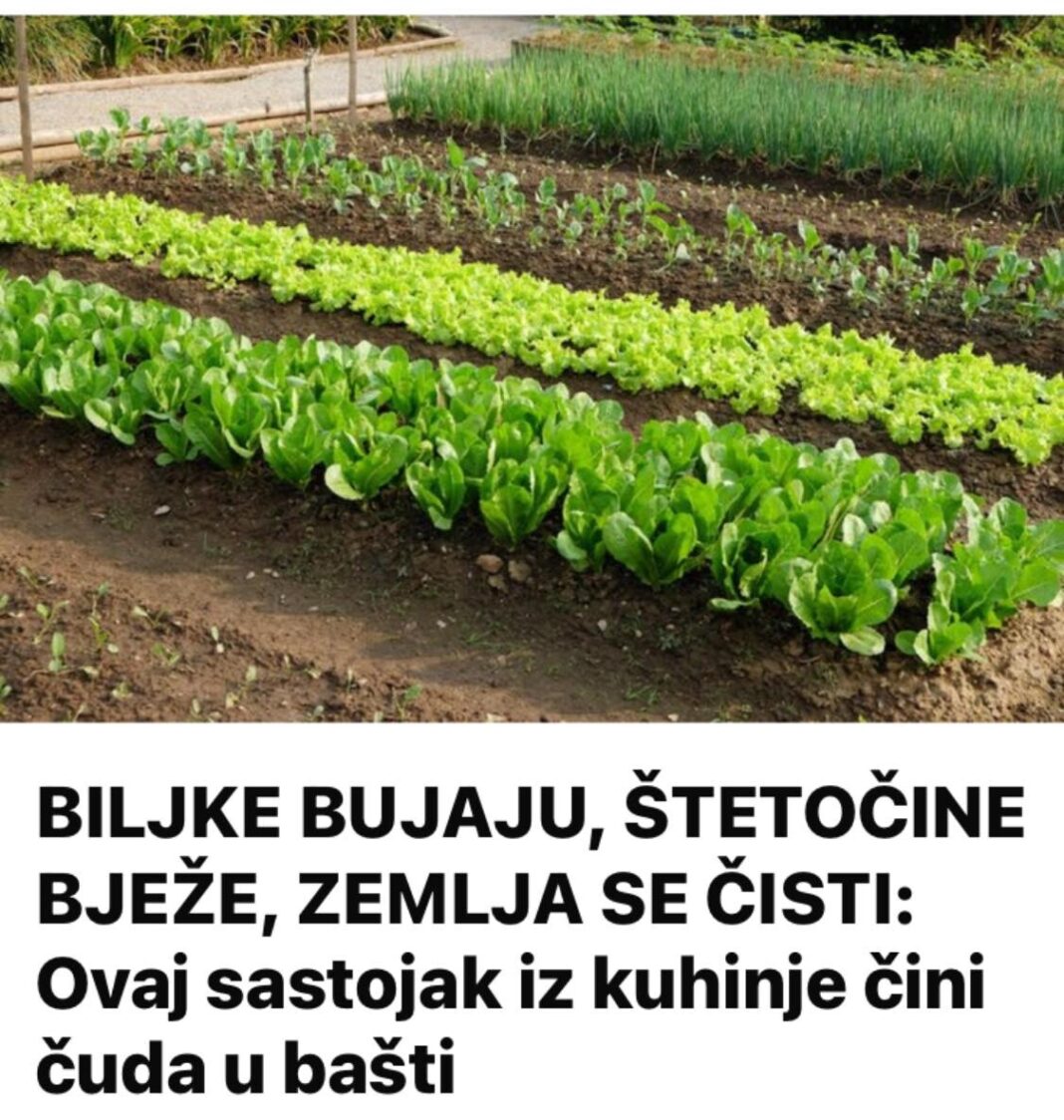 444490536_786678290260042_2642655237932310723_n