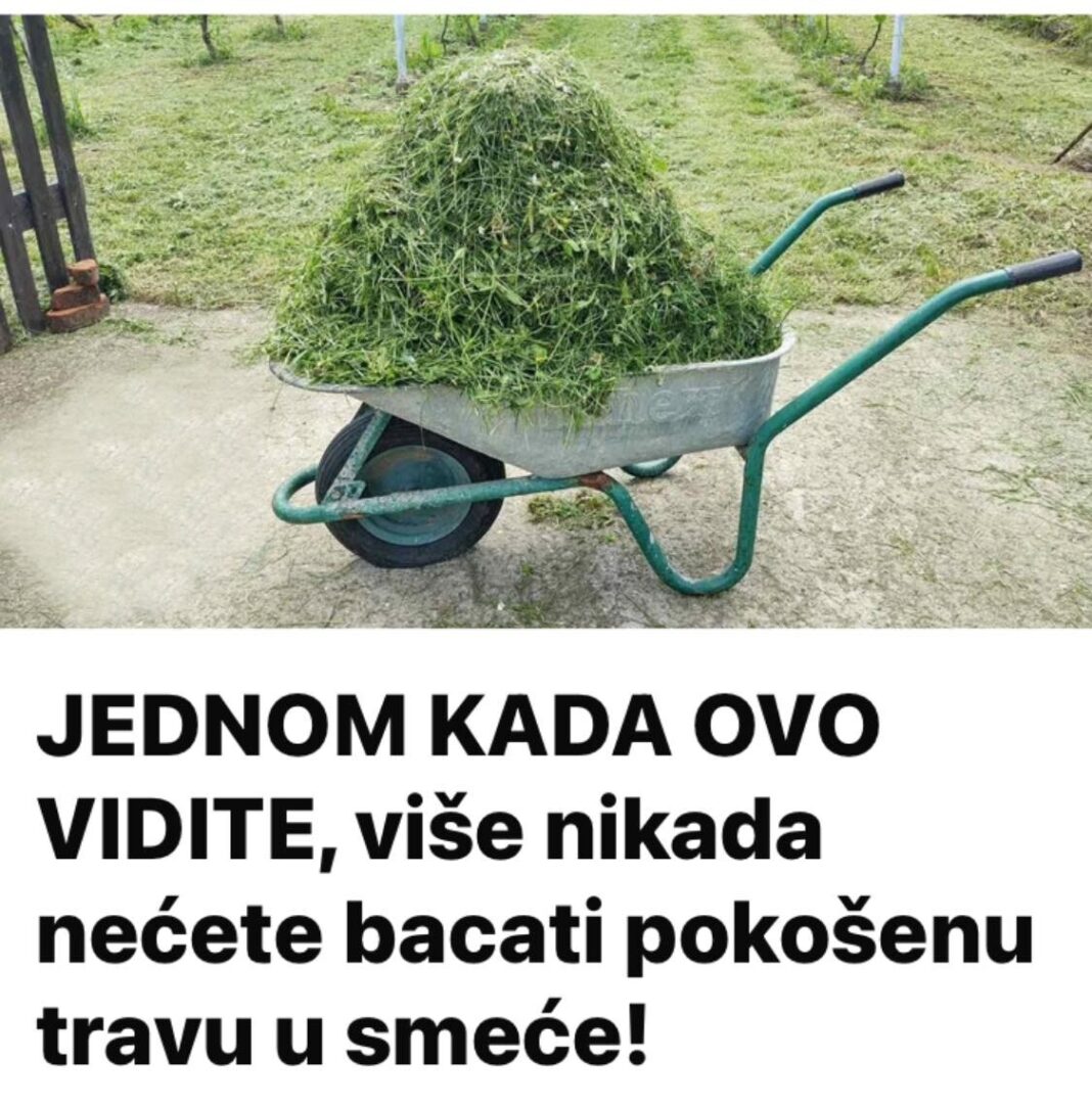 447572890_786101930317678_2863324371909809296_n