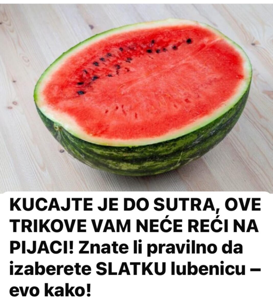 447732283_786756100252261_4331124834519799819_n