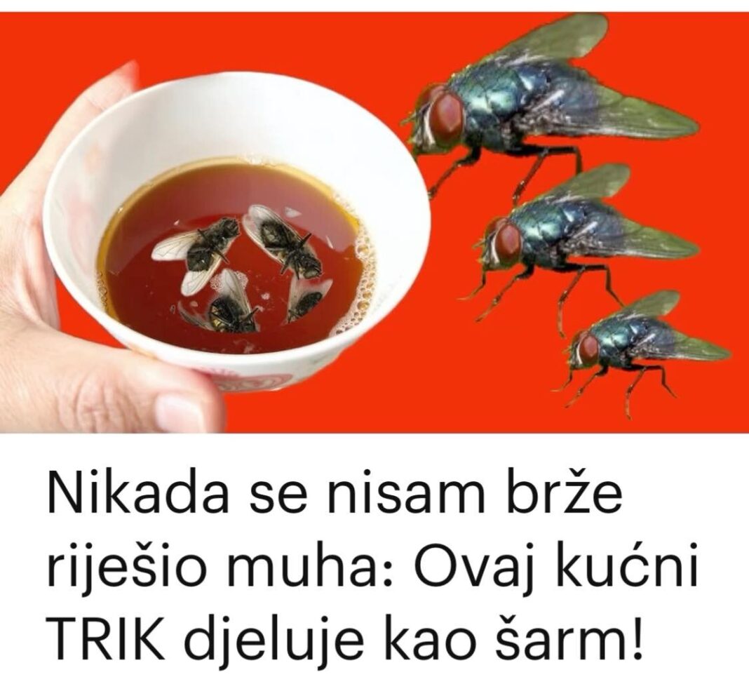 449822432_805239938403877_3103766120182720488_n