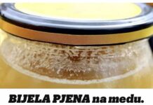 BIJELA PJENA na medu. Malo ljudi zna šta to zaista znači!