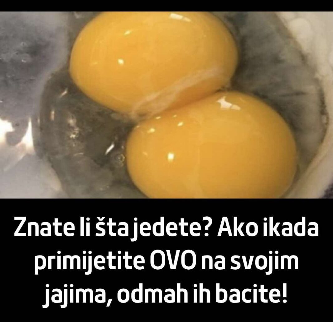 450812455_810242227903648_6848450469086214038_n