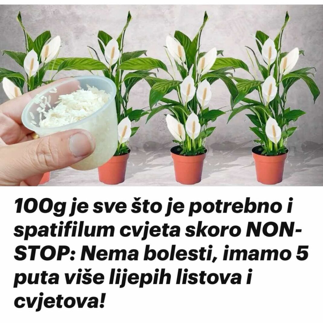 450868298_810548721206332_1041862123633142767_n