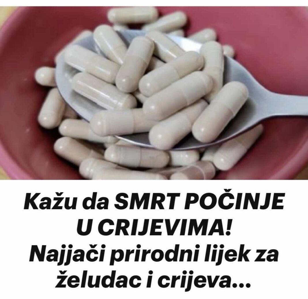 450878536_808596661401538_2744550781306646426_n