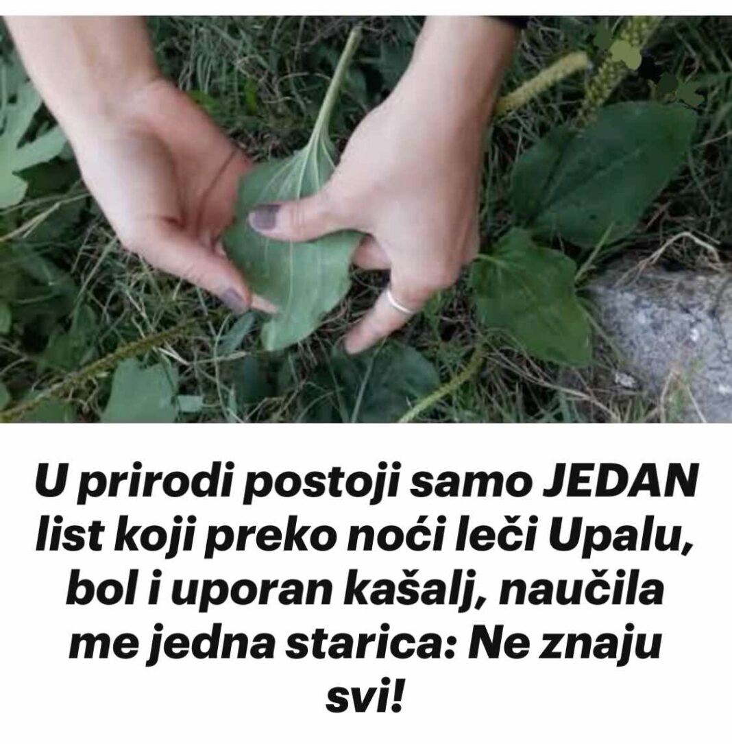 451011146_809563661304838_2590338632686091968_n