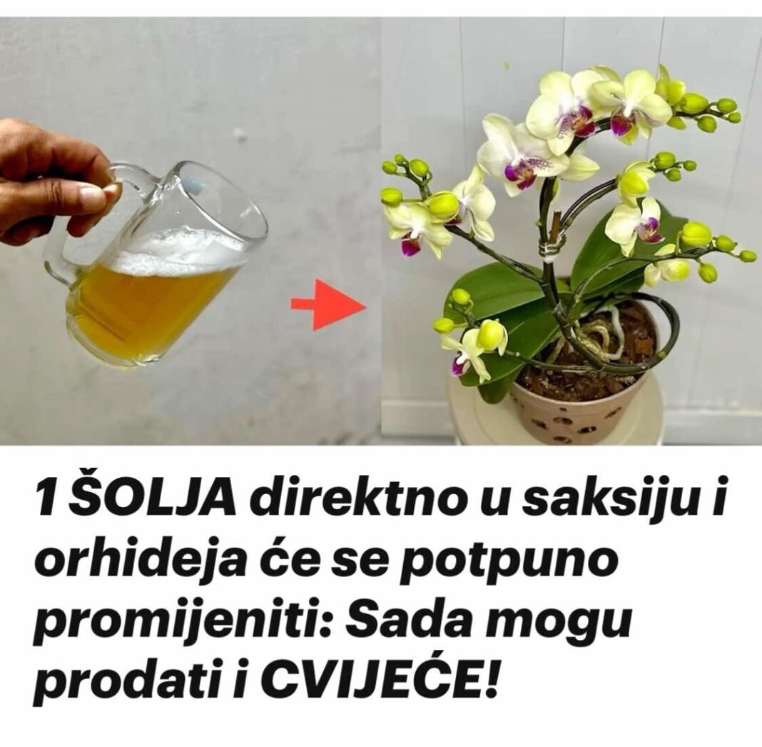 451065908_812151811046023_5023439354988281711_n