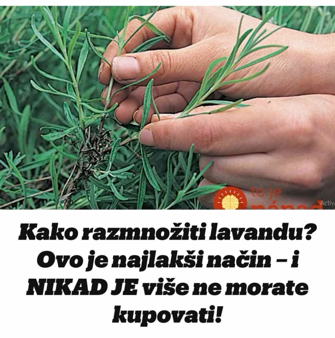 451138812_811863957741475_703215031955722843_n