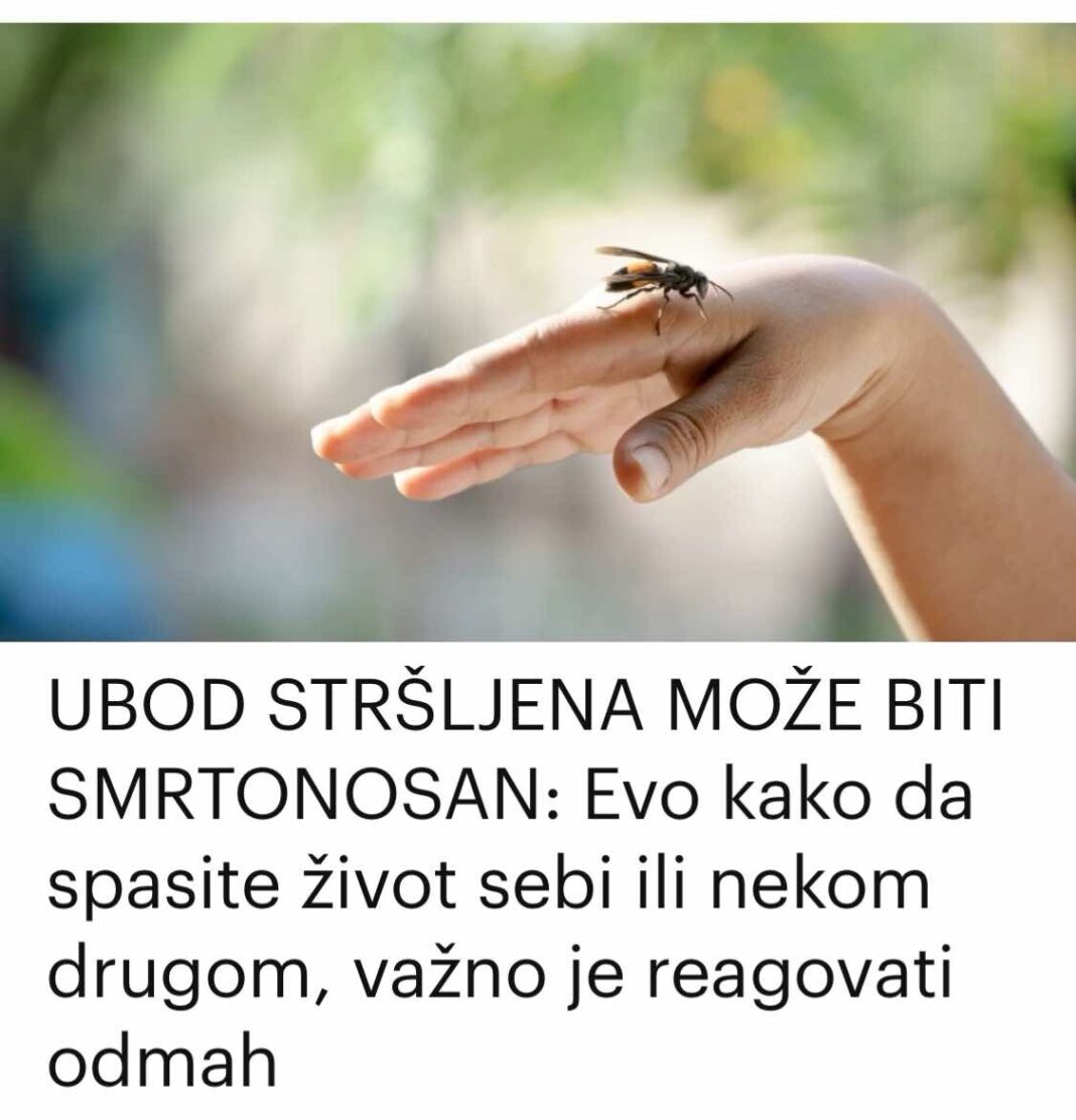 451391302_812003051060899_7314010833308381780_n