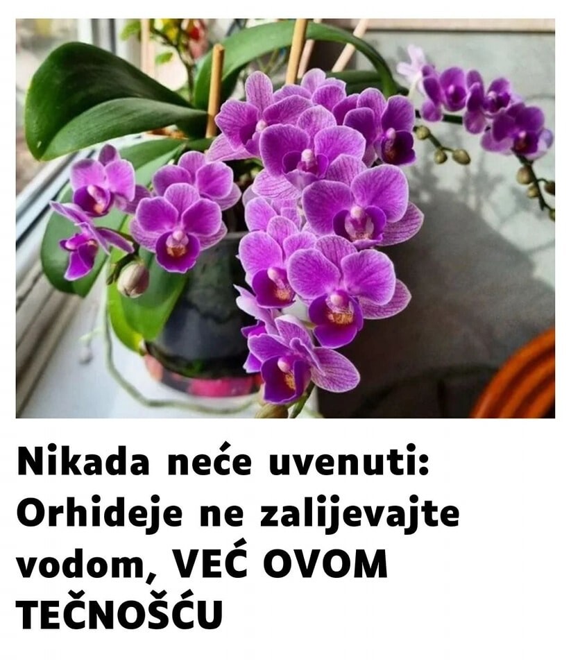 467720525_898503805744156_8341896665553089540_n