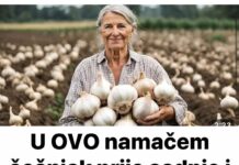 U OVO namačem češnjak prije sadnje i naraste ogroman!