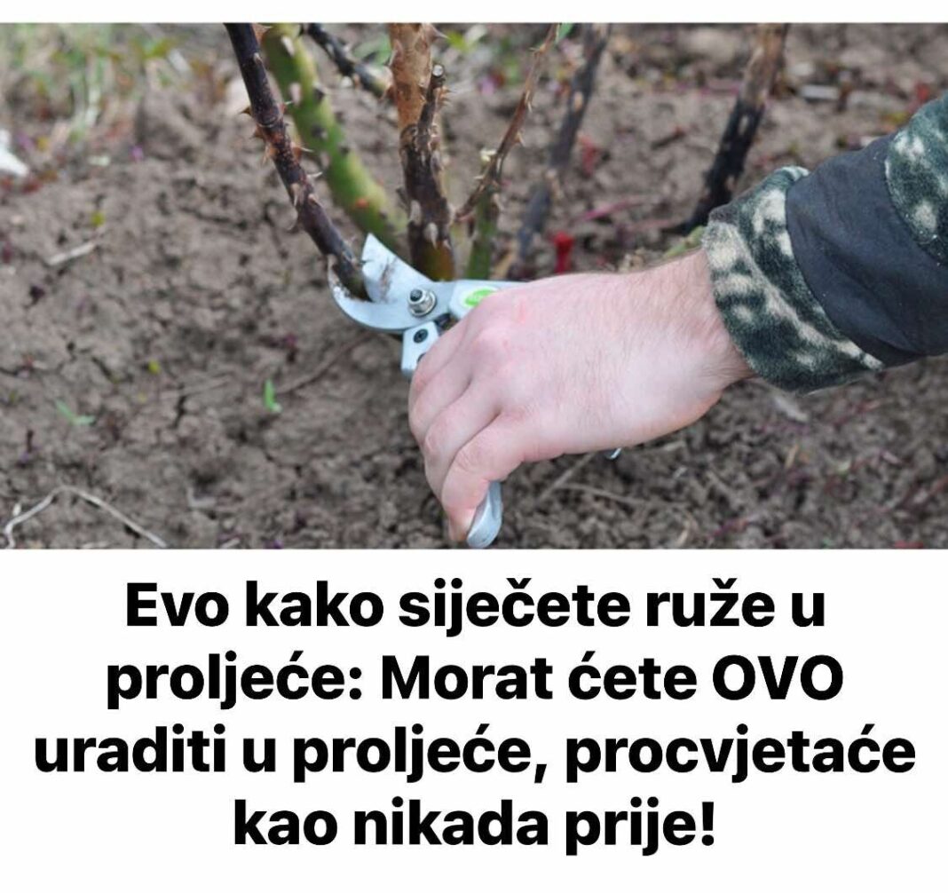 475502971_949822460612290_112586781201725739_n