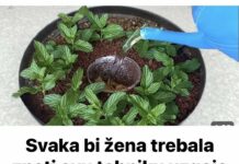 Svaka bi žena trebala znati ovu tehniku uzgoja povrtnjaka u loncu (VRLO JEDNOSTAVNO)
