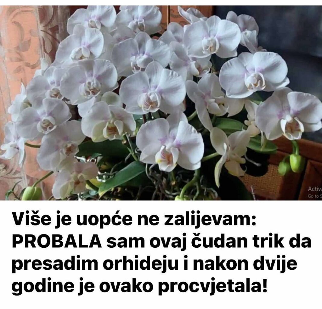 475762188_949266860667850_7272094792101056187_n