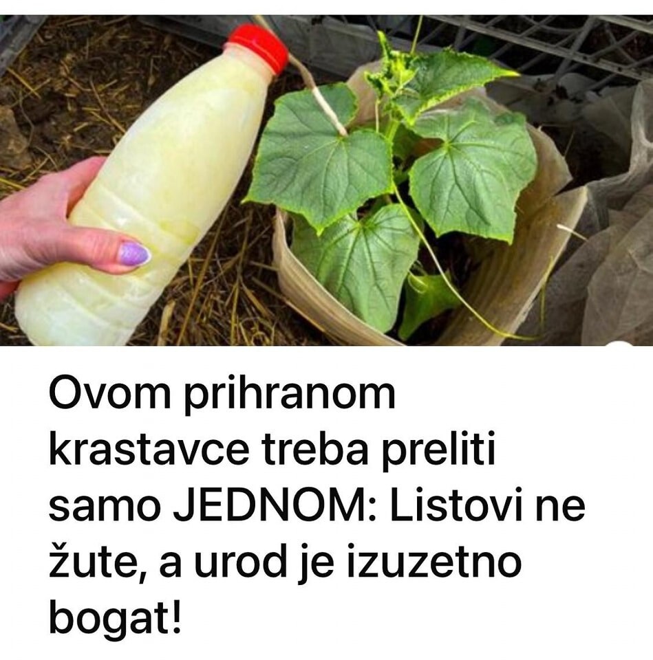 505231200_1043045027956699_8143718165858201039_n