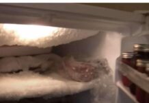 AK0 VAM SE U ZAMRZIVAČU NAKUPLJA LED: Stavite SAM0 jednu namirnicu i PR0BLEM će biti riješen