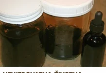 NEVJEROVATNA ŽIVOTNA PRIČA: “Ova biljka me spasila od raka – uništila je maligne ćelije za kratko vrijeme, a evo kako se pravi”