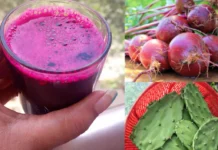 🌿✨ Hranjivi sok koji je pomogao transformirati tatino blagostanje — čaša po čaša 🍹