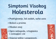 Simptomi visokog holesterola i prirodni recepti za podršku zdravom načinu života
