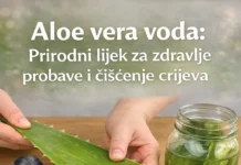🌿 Infuzija aloe vere: Nježni biljni recept za podršku ravnoteži, imunitetu i zdravlju kože ✨