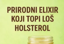 Prirodni eliksir koji topi loš holesterol: Napitak iz kuće koji deluje već 7 dana