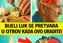 Bijeli luk i zdravlje: Moćne koristi kada se koristi na pravi način