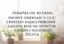 Zovu ga ‘čistač crijeva’: Pojedite jednu voćku iz ove tegle svako jutro i zaboravite na hemoroide i loše varenje zauvijek!