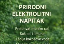 🌿 Prirodni elektrolitni napitak: Čista hidratacija bez hemikalija