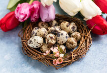 Kako ofarbati prepeličja jaja? 4 koraka do najlepših pastelnih (prirodnih) ili jarkih (kupovnih) boja