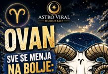OVAN – SVE SE MENJA NA BOLJE: Konačno dolazi trenutak koji donosi unutrašnji mir!