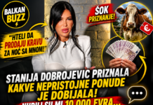“HTELI DA PRODAJU KRAVU ZA NOĆ SA MNOM” Stanija Dobrojević priznala kakve nepristojne ponude je dobijala: Nudili su mi 10.000 evra…
