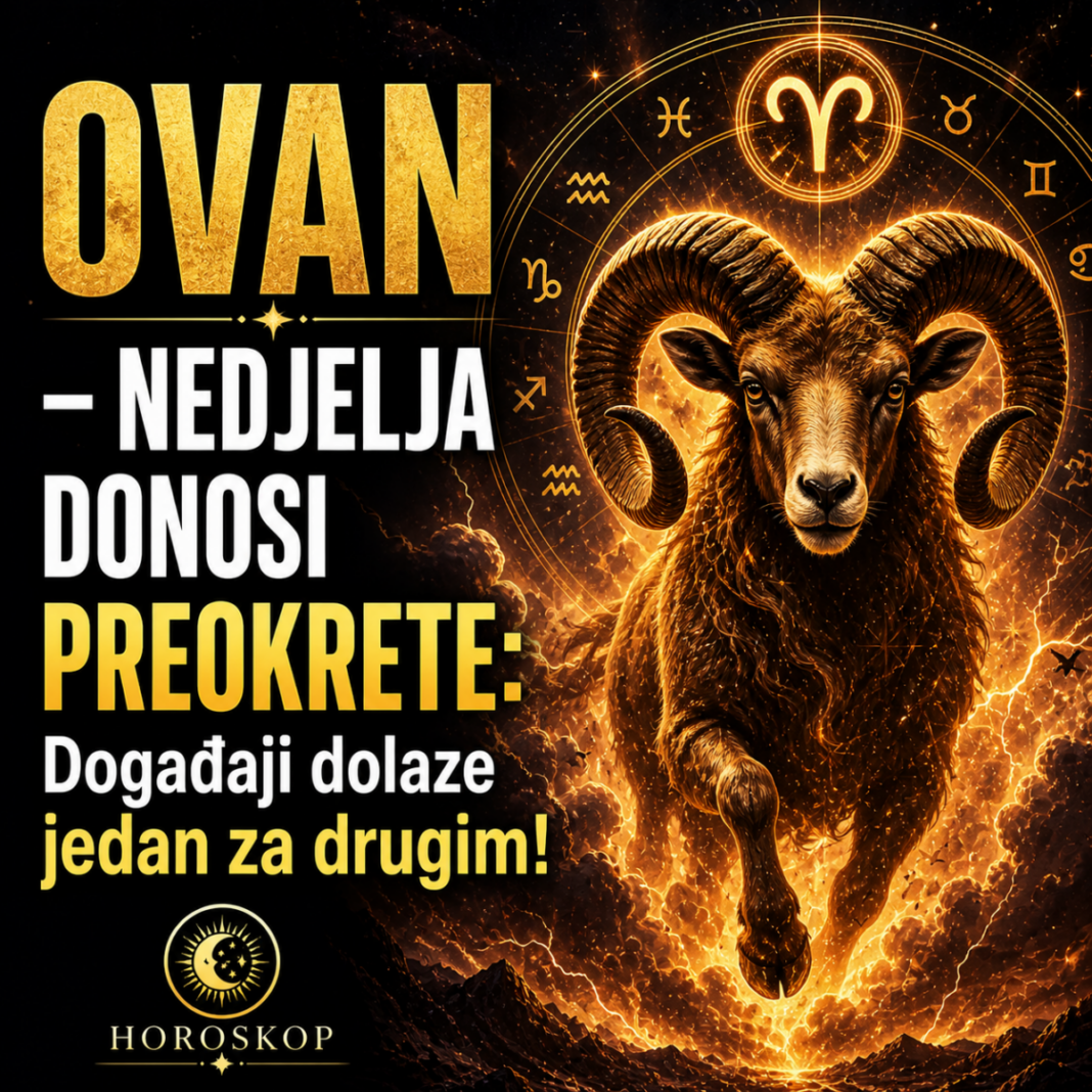 0d8ee2a0-5560-429e-bd95-53d59016013a