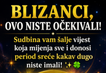 BLIZANCI, OVO NISTE OČEKIVALI! Sudbina vam šalje vijest koja mijenja sve i donosi period sreće kakav dugo niste imali! ✨🍀