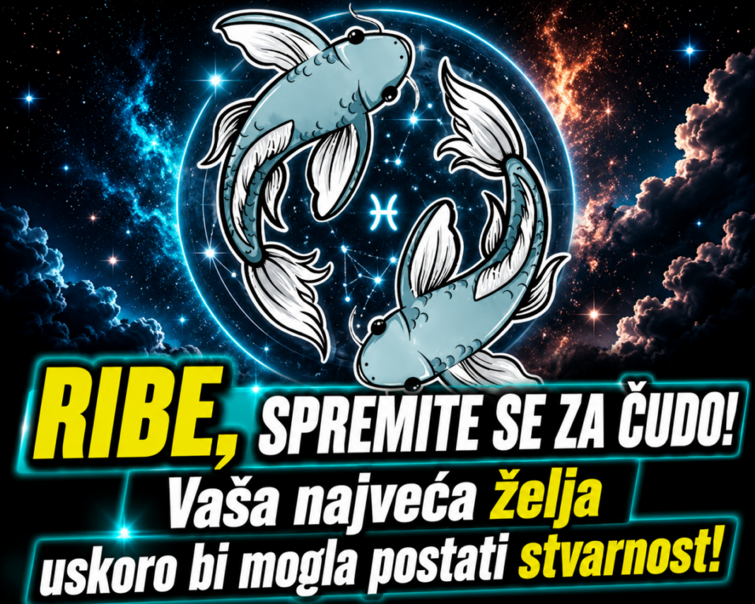 33858f23-1b96-4f45-932b-8e507d38356a