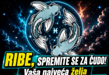 RIBE, SPREMITE SE ZA ČUDO! Vaša najveća želja uskoro bi mogla postati stvarnost!