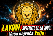LAVOVI, SPREMITE SE ZA ČUDO! Vaša najveća želja uskoro bi mogla postati stvarnost!