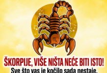 ŠKORPIJE, VIŠE NIŠTA NEĆE BITI ISTO! Sve što vas je kočilo sada nestaje, a veliki preokret upravo počinje!