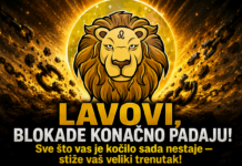 LAVOVI, BLOKADE KONAČNO PADAJU! Sve što vas je kočilo sada nestaje — stiže vaš veliki trenutak!
