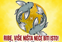 RIBE, VIŠE NIŠTA NEĆE BITI ISTO! Sve što vas je kočilo sada nestaje, a sudbina vam sprema veliki preokret!